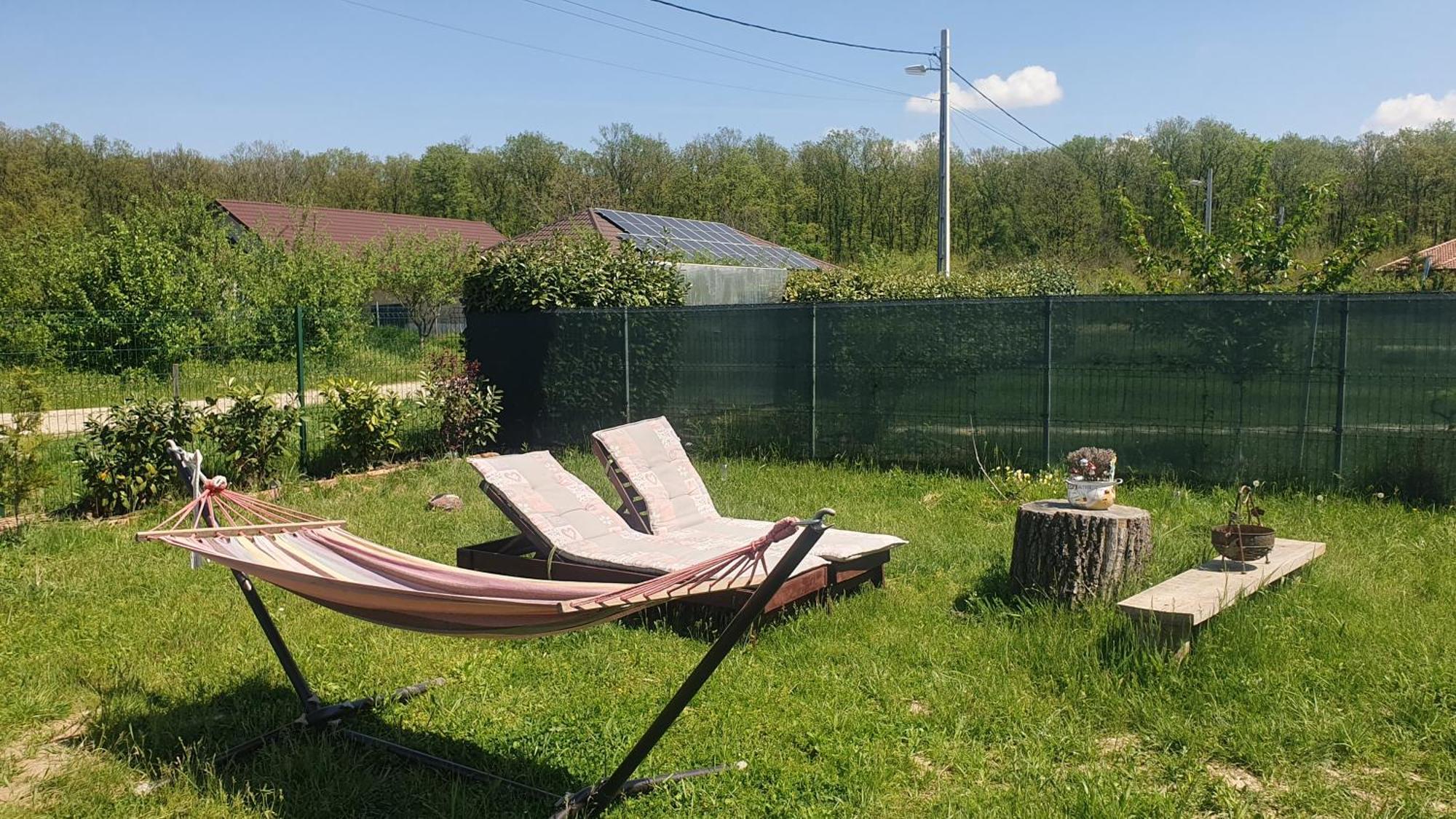 Forest Relax Near Oradea -Pet Friendly Les Ngoại thất bức ảnh
